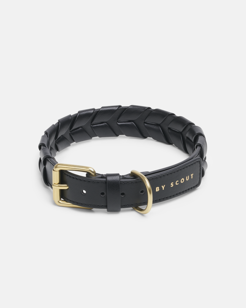 Mela Caspita Collar - Black from By Scout - Vegan and Waterproof