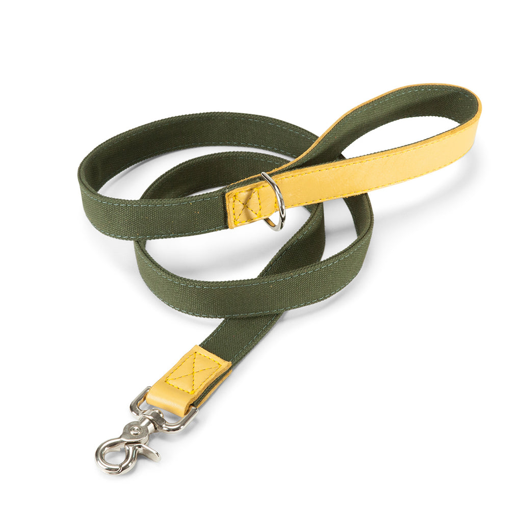 Leather Canvas Lead in Olive & Yellow