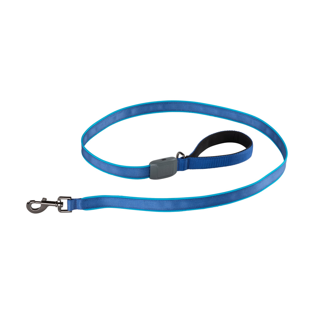 Nite Dog Rechargeable LED Leash - Blue