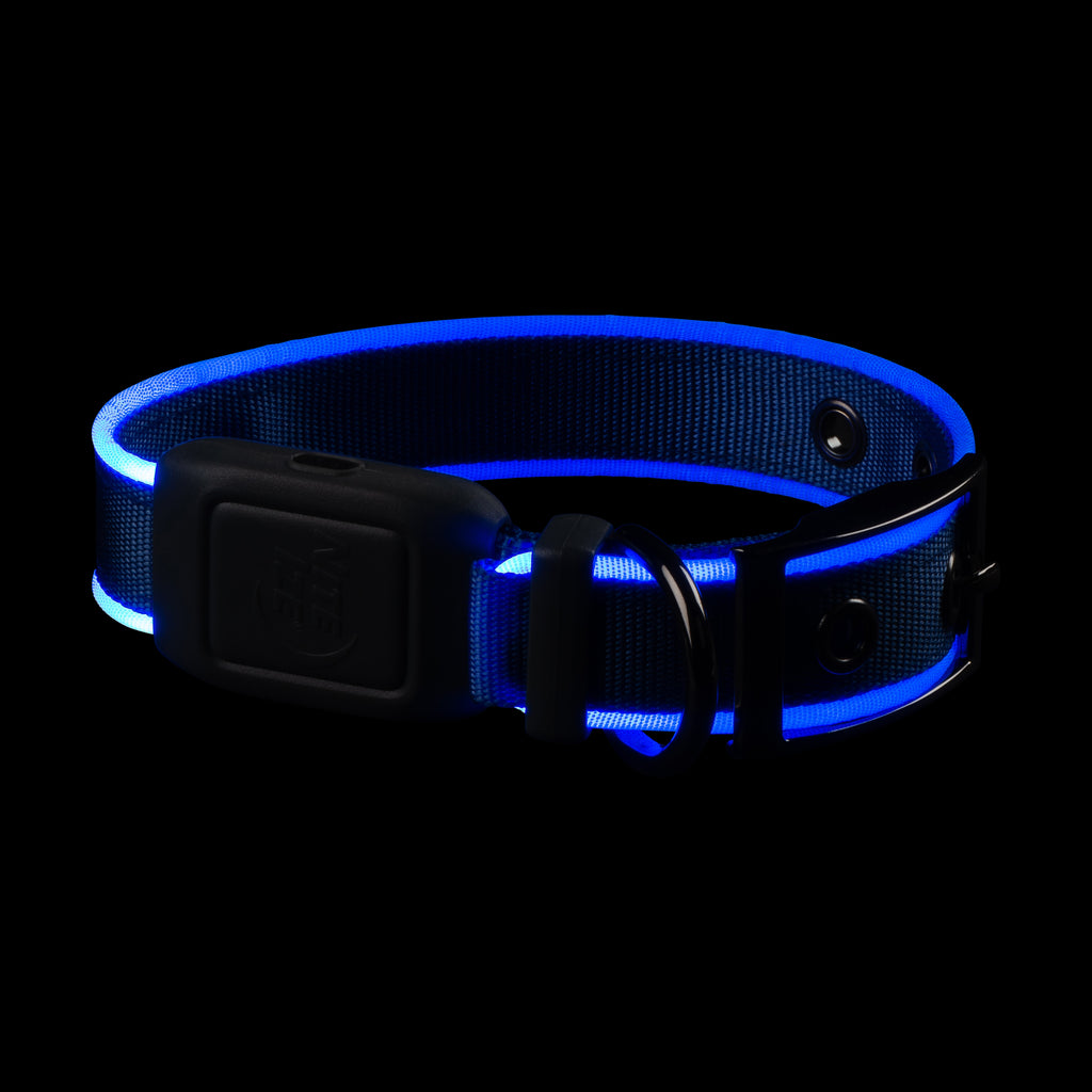 Nite Dog Rechargeable LED Collar - Blue
