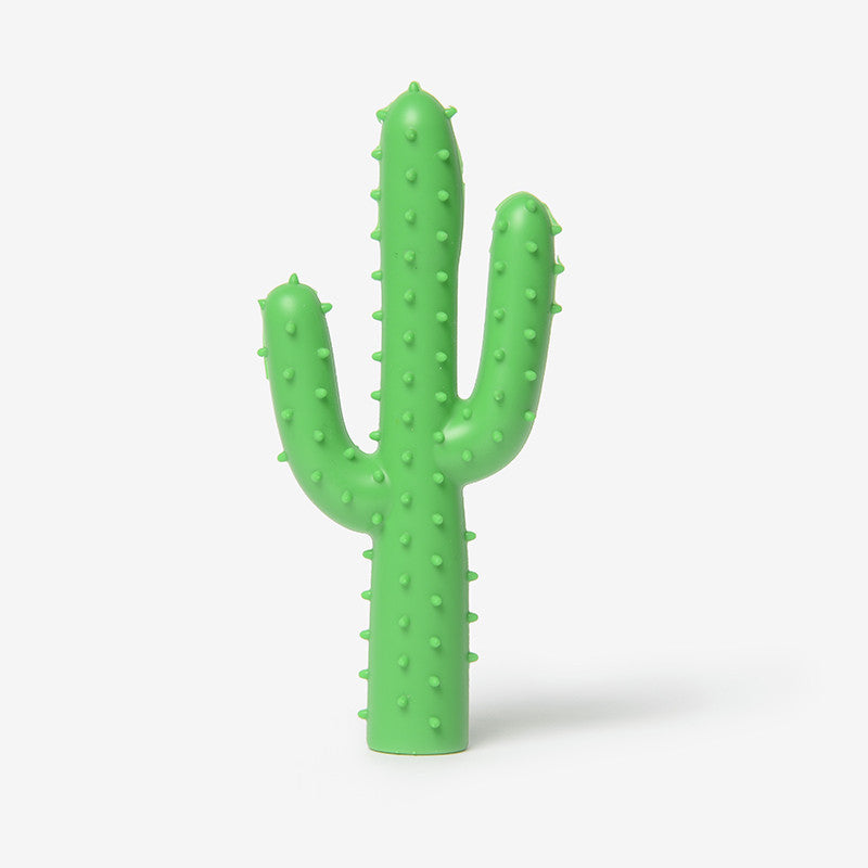 Silly Succulent Cactus Toy