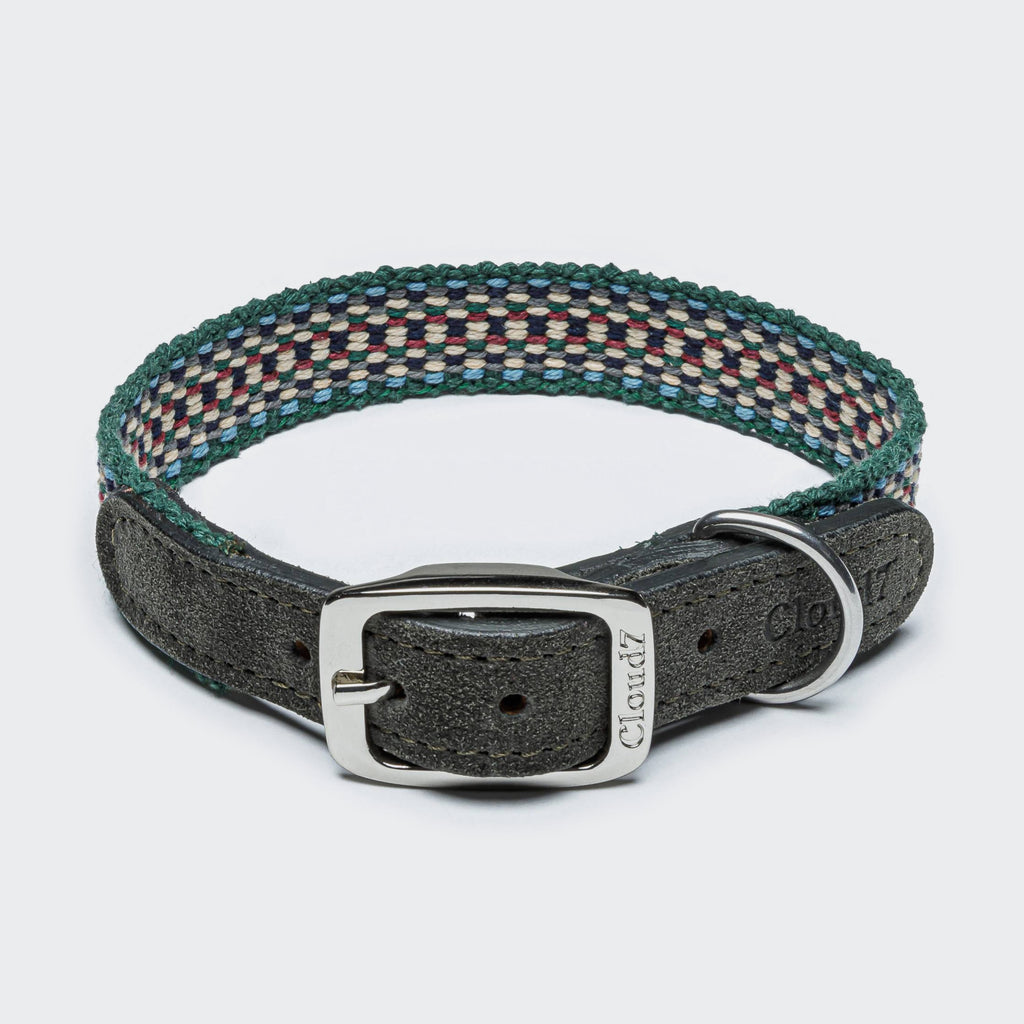 Prater Dog Collar in Forest from Cloud 7
