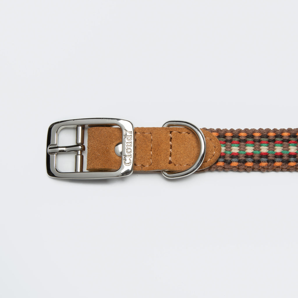 Prater Dog Collar in Sunset from Cloud 7