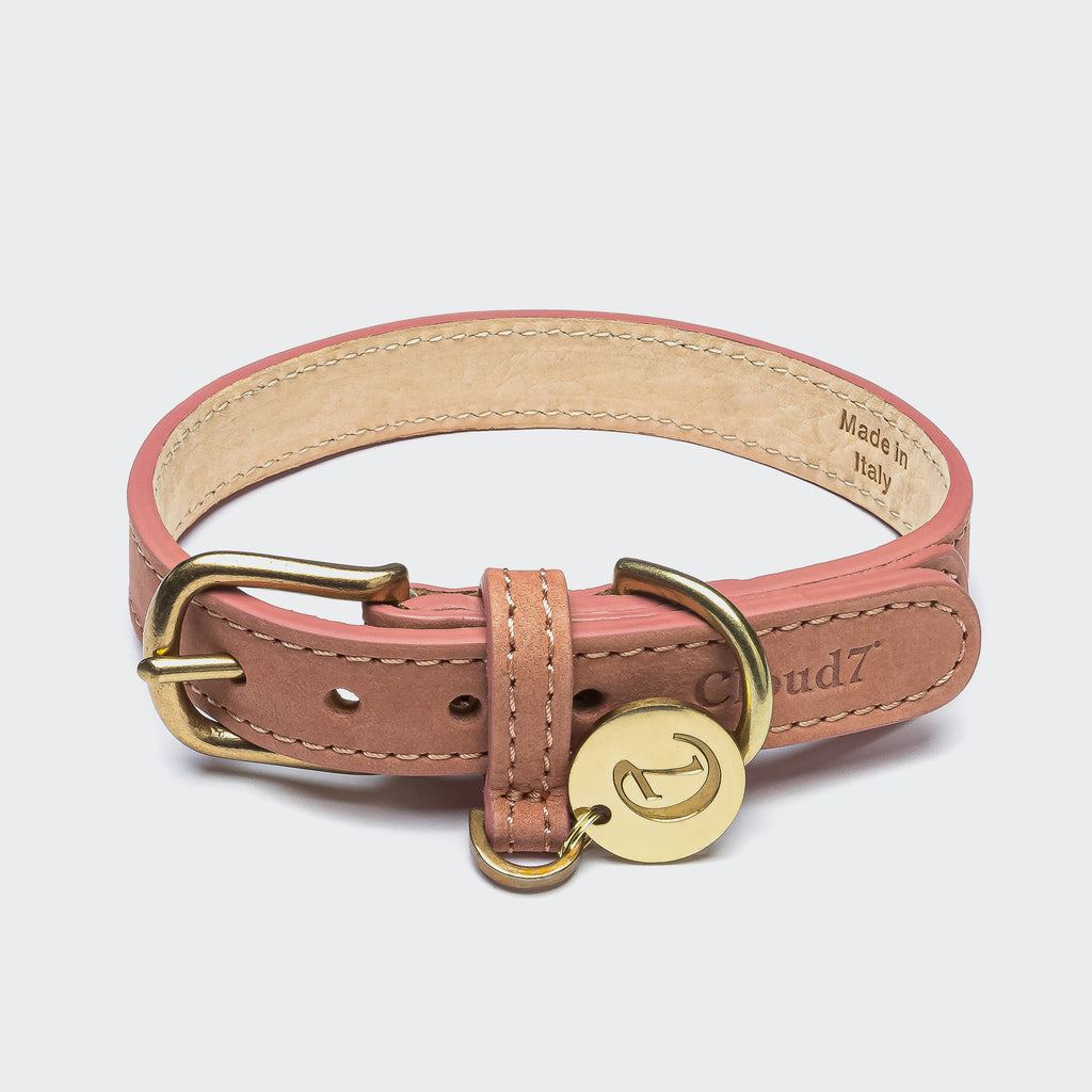 Luxury Dog Collars from the Mountains of New Zealand: Meet Momo