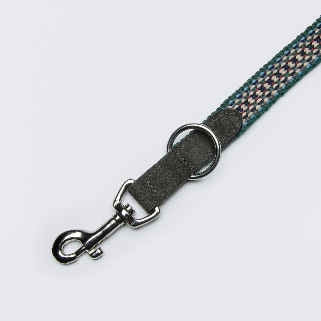 Dog Leash Prater Forest from Cloud 7