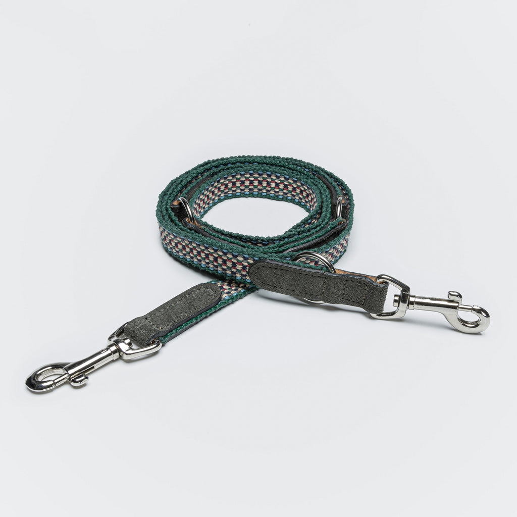 Dog Leash Prater Forest from Cloud 7