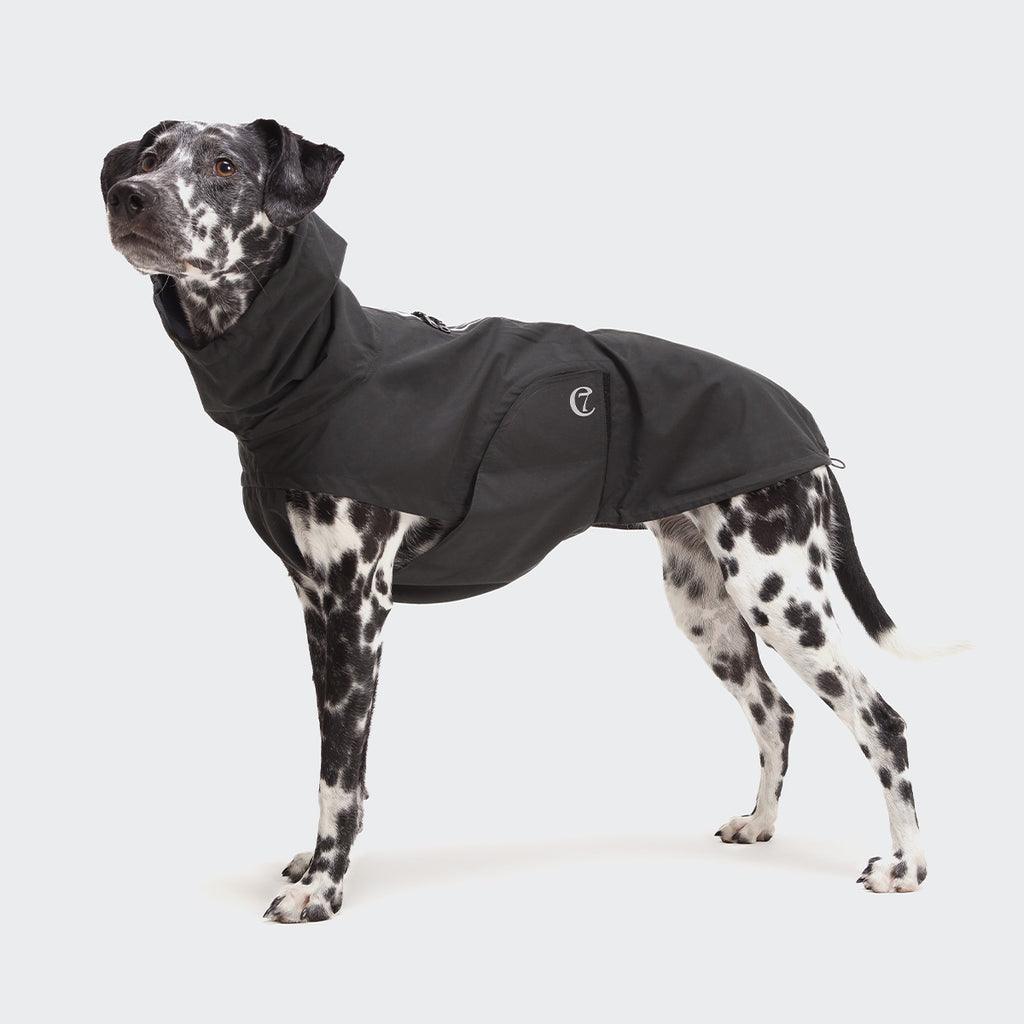 Dog Raincoat Dublin Slate from Cloud 7