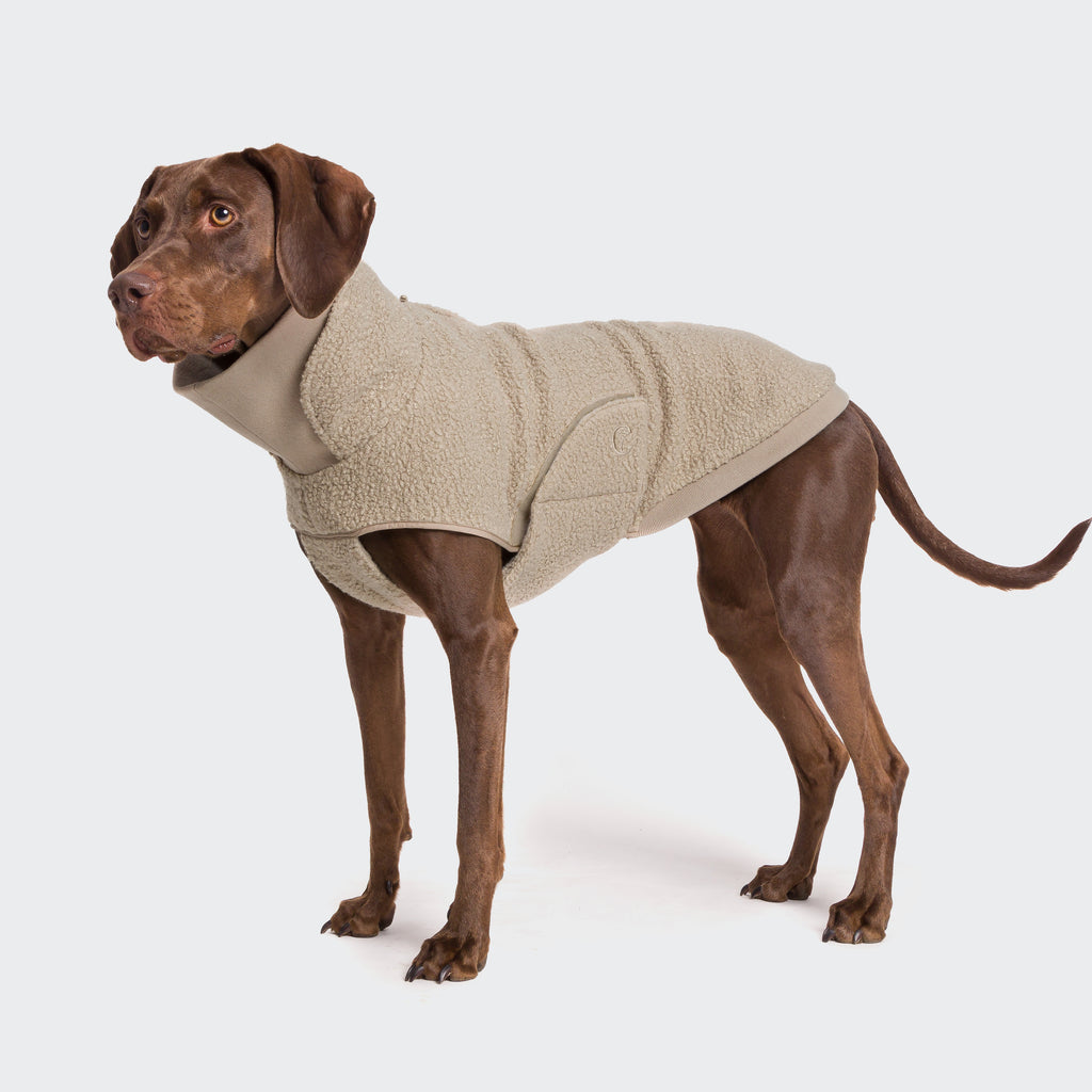 Dog Sweater Gotland Beige from Cloud 7