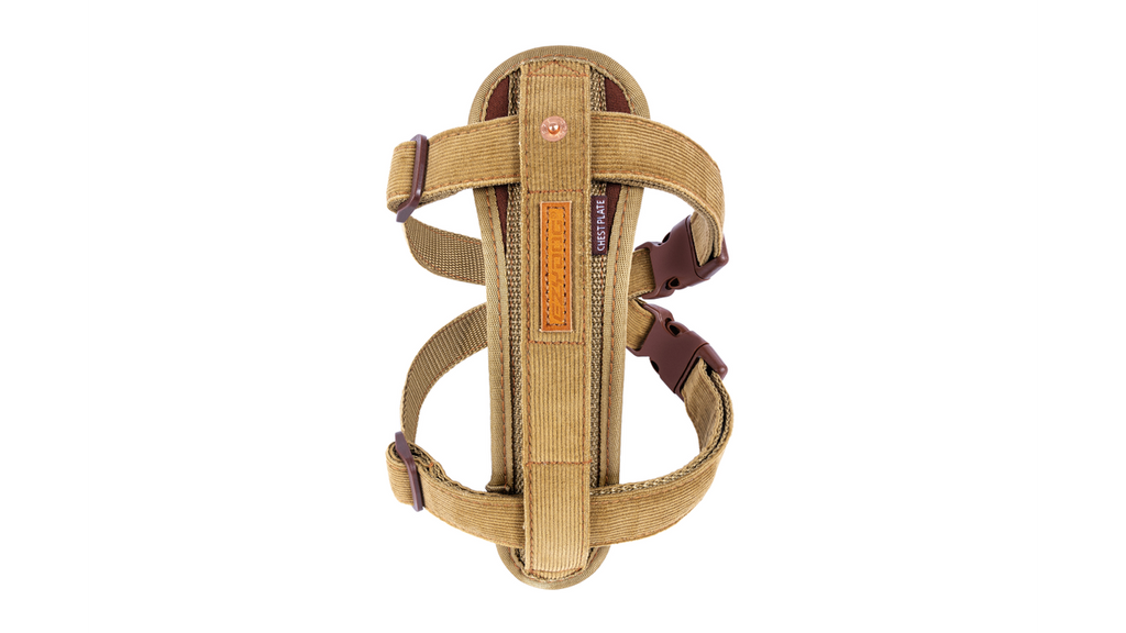 Ezy Dog Harness in Corduroy