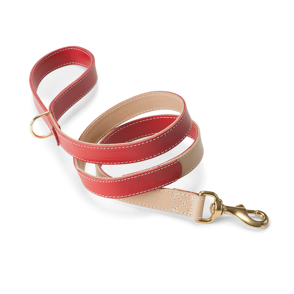 Leather Lead in Red & Nude