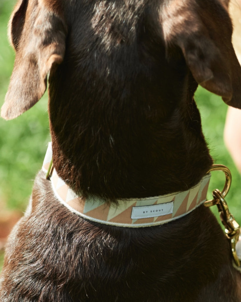 Nice Grill Collar - Ice Blue,Camel,Ivory from By Scout