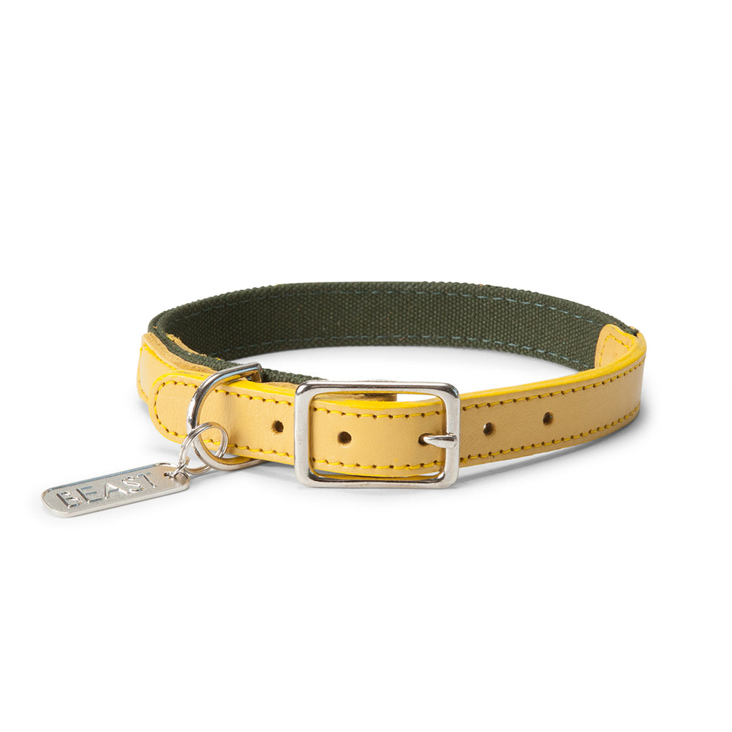 Leather Canvas Collar in Olive & Yellow