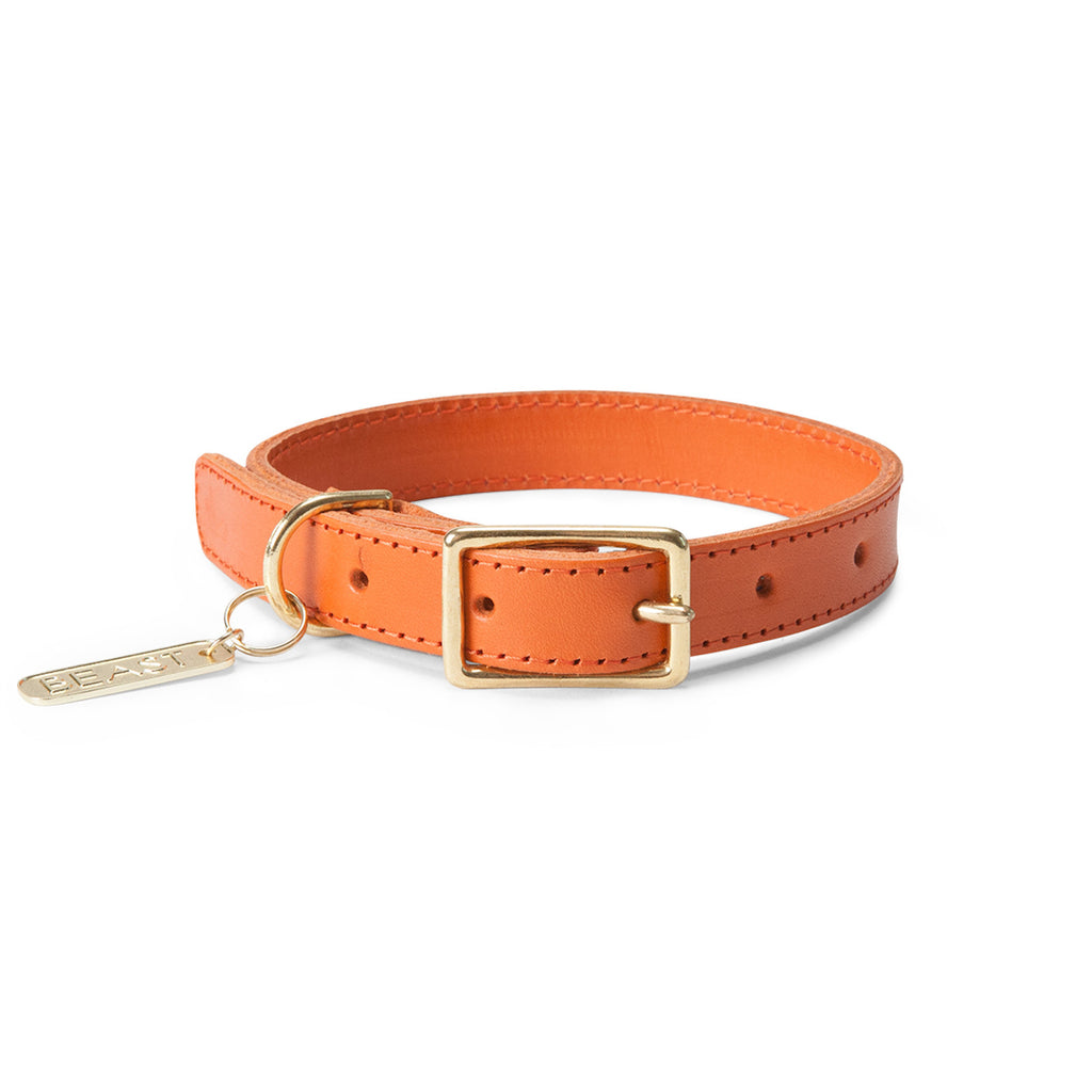 Leather Collar in Orange